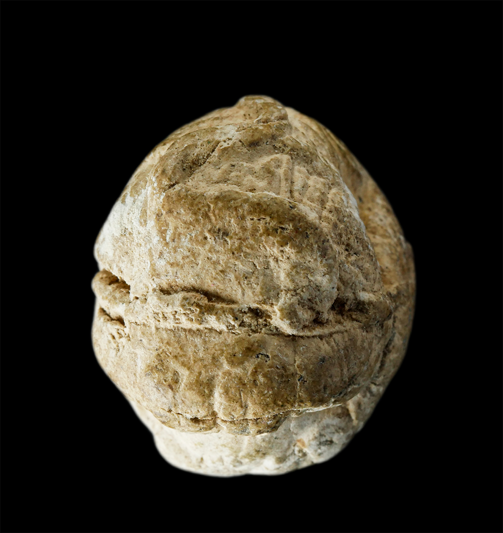 17Aug24 (380)dp.jpg - ลูกอมหนุมานแผลงฤทธิ์ ปี2550 เนื้อผงรายกุมาร ผงว่าน หลวงพ่อสาคร วัดหนองกรับ อ.บ้านค่าย จ.ระยอง(องค์ที่2) | https://kamulet.in.th